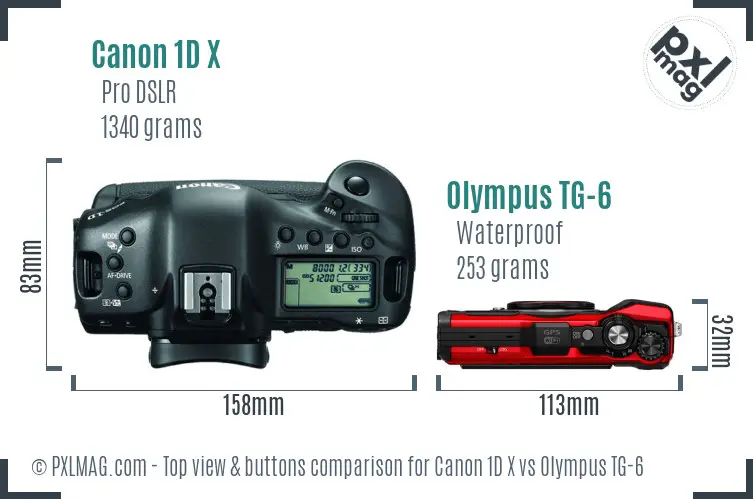 Canon 1D X vs Olympus TG-6 top view buttons comparison