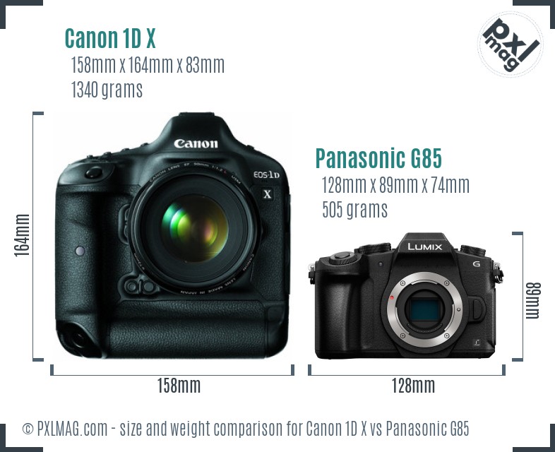 Canon 1D X vs Panasonic G85 size comparison