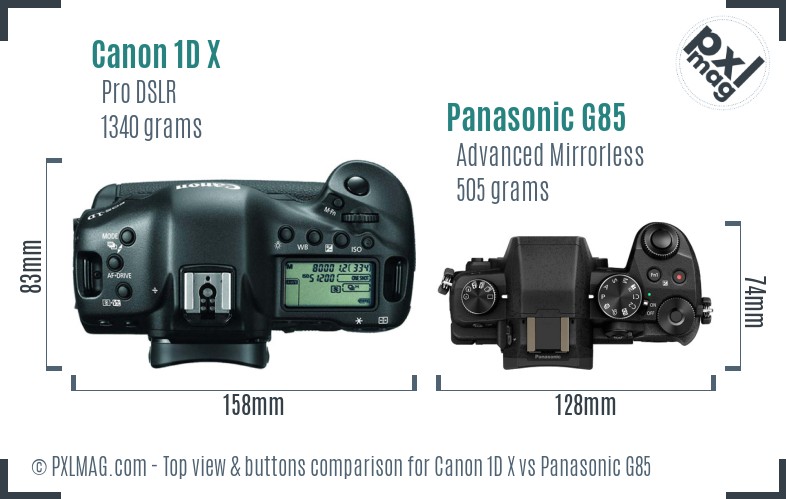 Canon 1D X vs Panasonic G85 top view buttons comparison