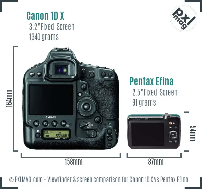 Canon 1D X vs Pentax Efina Screen and Viewfinder comparison