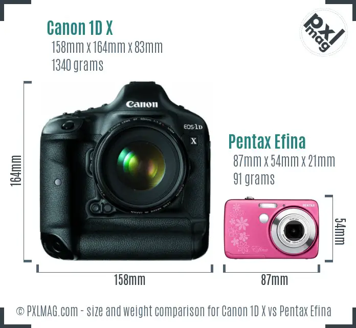 Canon 1D X vs Pentax Efina size comparison