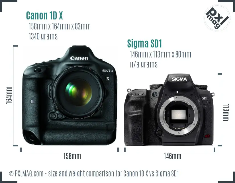 Canon 1D X vs Sigma SD1 size comparison