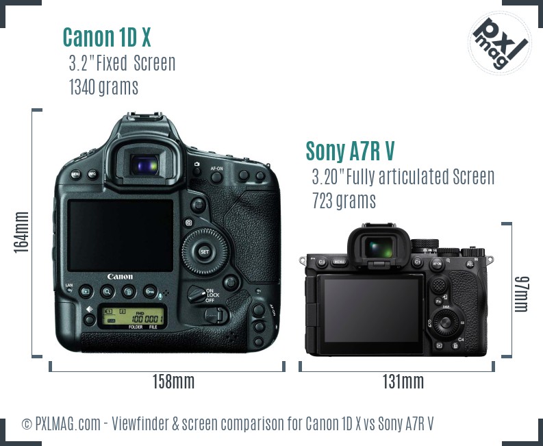 Canon 1D X vs Sony A7R V Screen and Viewfinder comparison