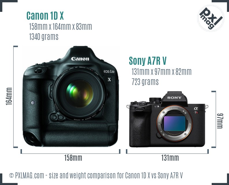 Canon 1D X vs Sony A7R V size comparison