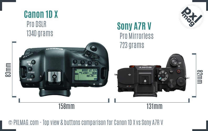 Canon 1D X vs Sony A7R V top view buttons comparison