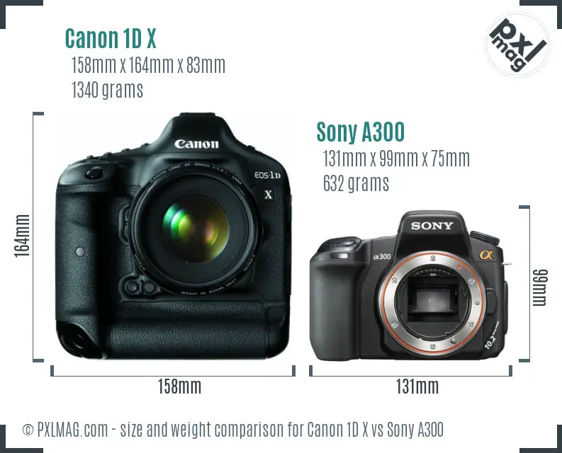 Canon 1D X vs Sony A300 size comparison