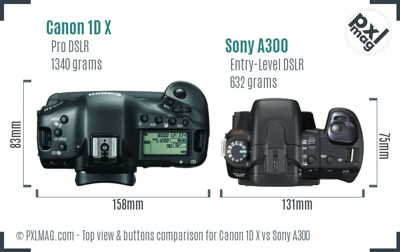 Canon 1D X vs Sony A300 top view buttons comparison