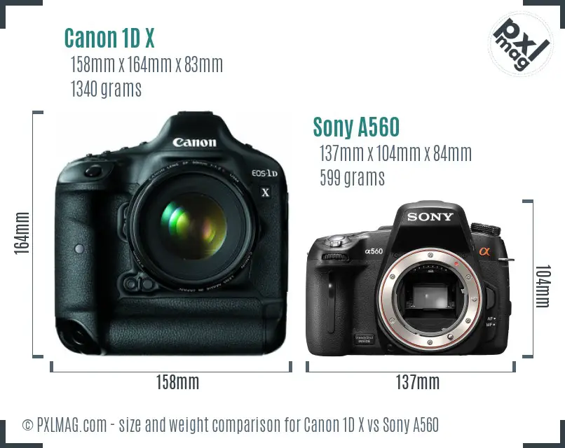 Canon 1D X vs Sony A560 size comparison