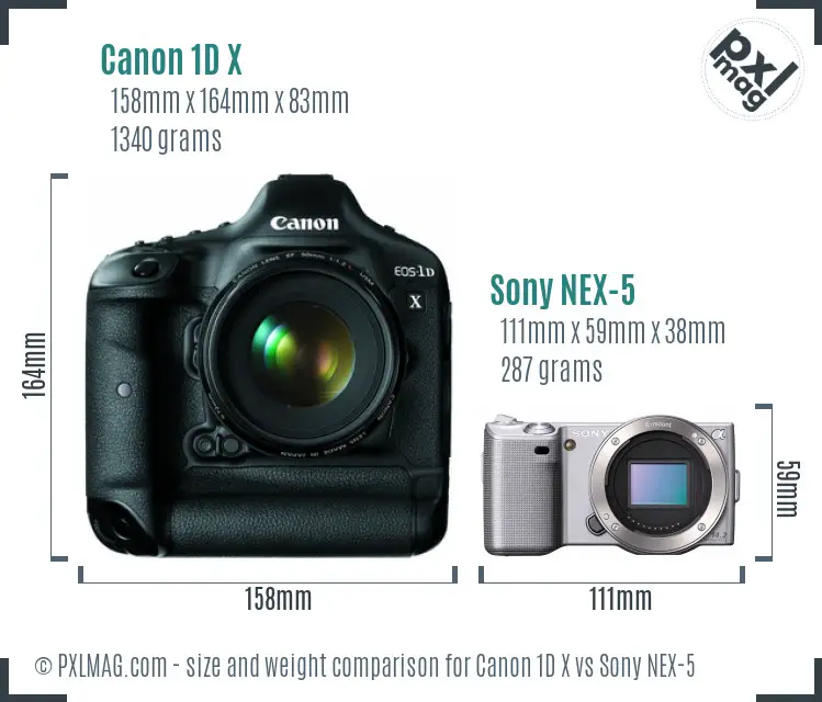Canon 1D X vs Sony NEX-5 size comparison