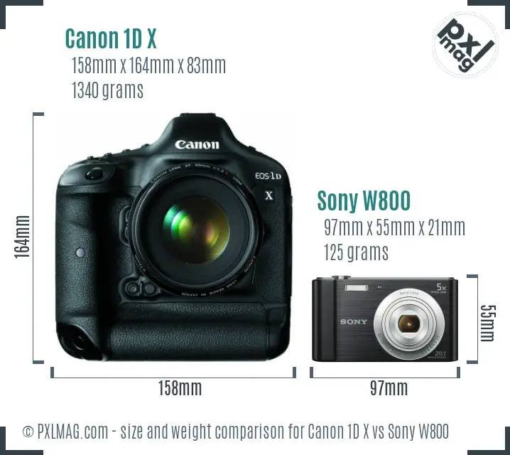 Canon 1D X vs Sony W800 size comparison