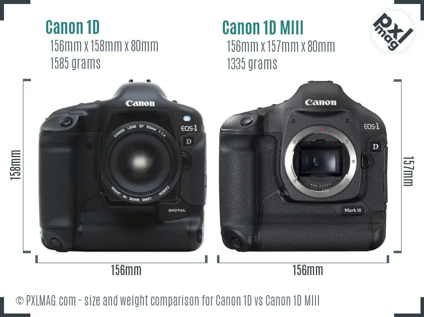 Canon 1D vs Canon 1D MIII size comparison