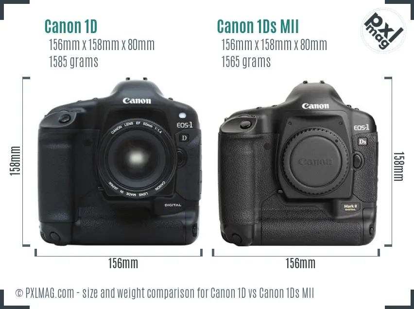 Canon 1D vs Canon 1Ds MII size comparison