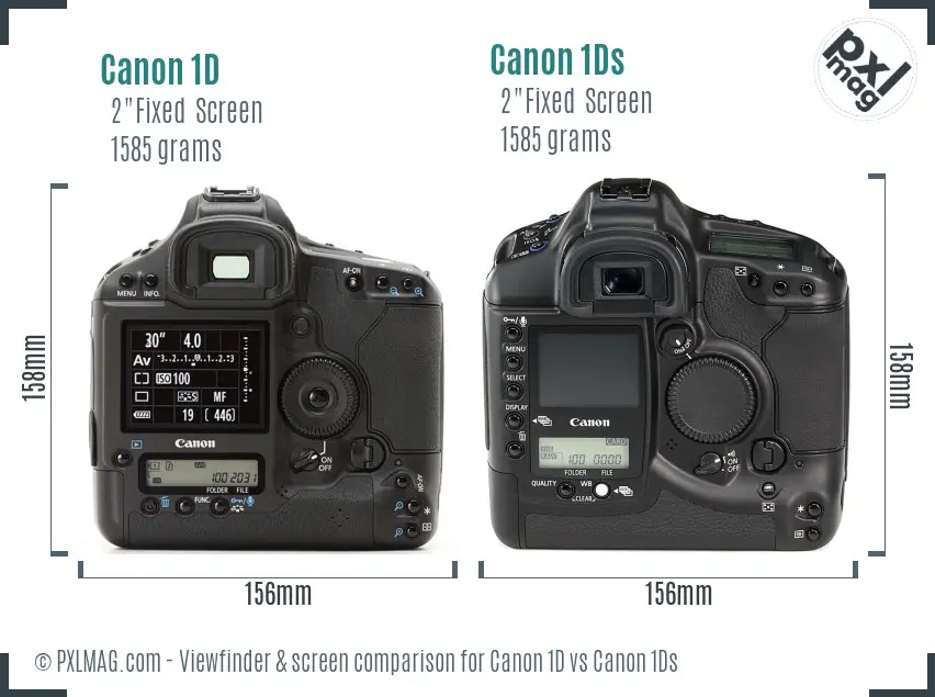 Canon 1D vs Canon 1Ds Screen and Viewfinder comparison