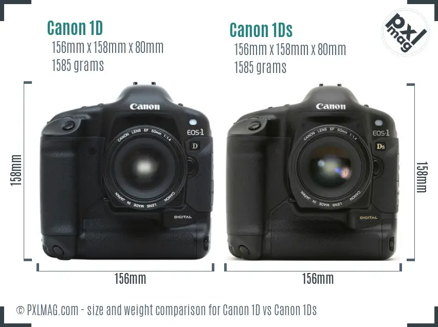 Canon 1D vs Canon 1Ds size comparison
