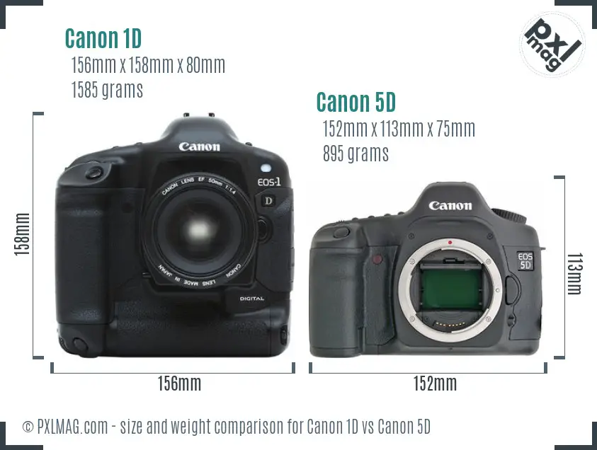 Canon 1D vs Canon 5D size comparison