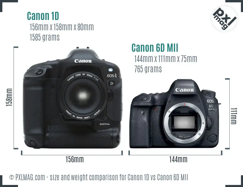 Canon 1D vs Canon 6D MII size comparison