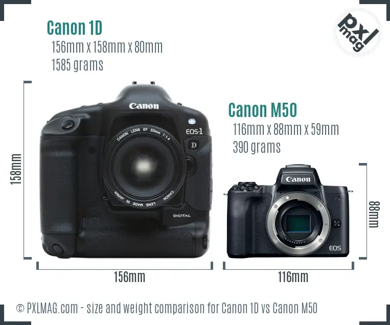 Canon 1D vs Canon M50 size comparison