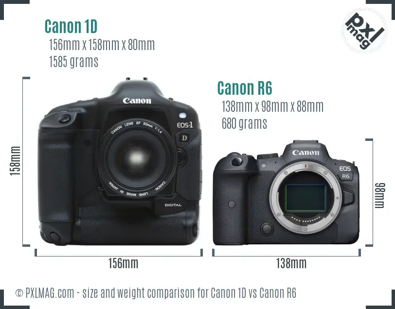 Canon 1D vs Canon R6 size comparison