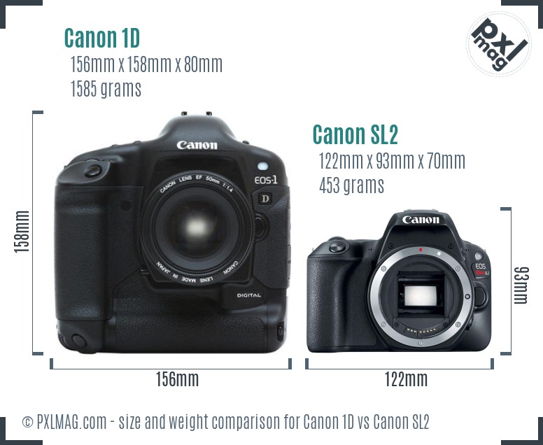 Canon 1D vs Canon SL2 size comparison