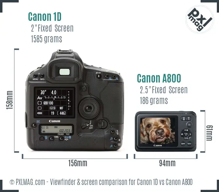 Canon 1D vs Canon A800 Screen and Viewfinder comparison