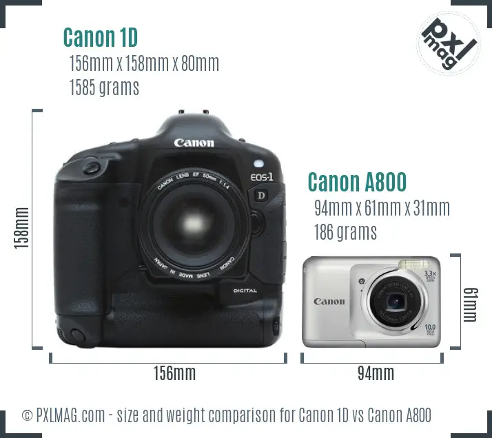 Canon 1D vs Canon A800 size comparison
