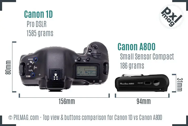 Canon 1D vs Canon A800 top view buttons comparison
