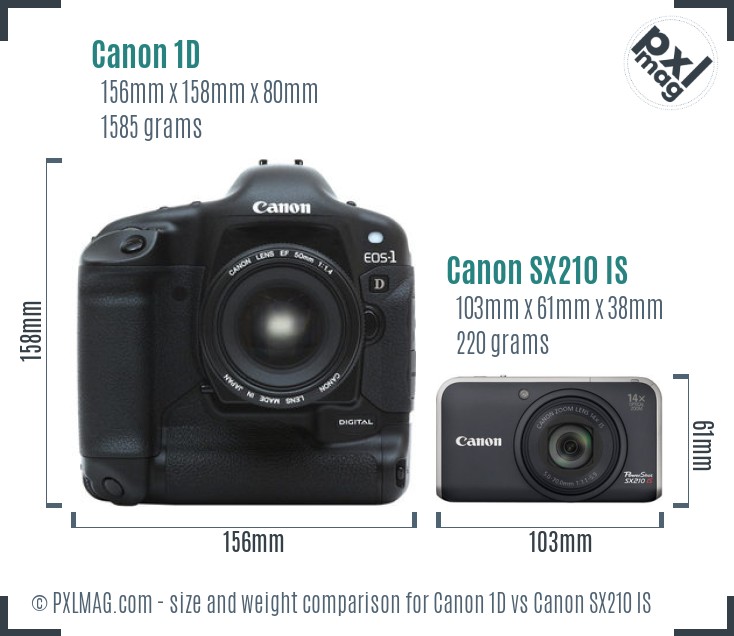 Canon 1D vs Canon SX210 IS size comparison