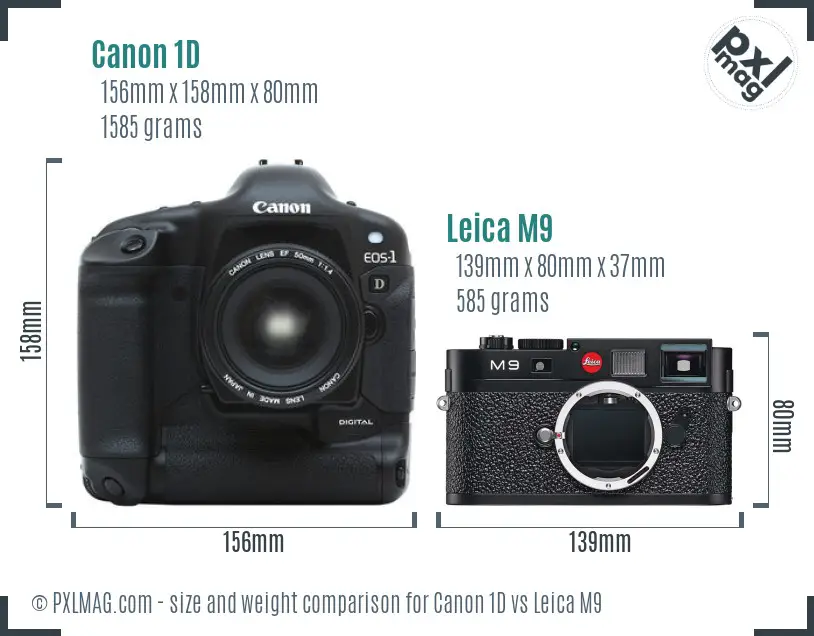 Canon 1D vs Leica M9 size comparison
