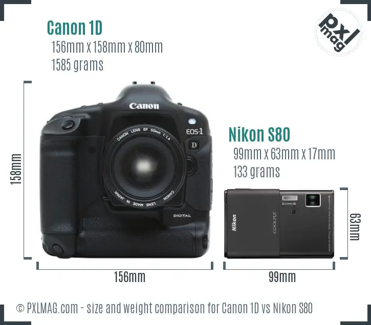 Canon 1D vs Nikon S80 size comparison