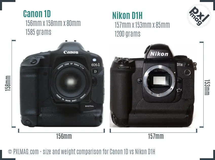 Canon 1D vs Nikon D1H size comparison