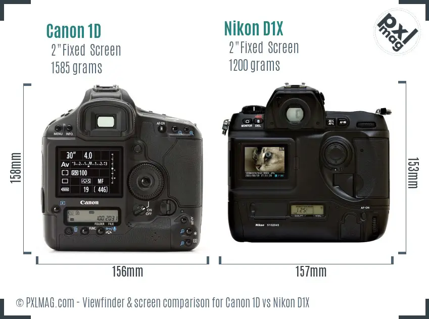 Canon 1D vs Nikon D1X Screen and Viewfinder comparison