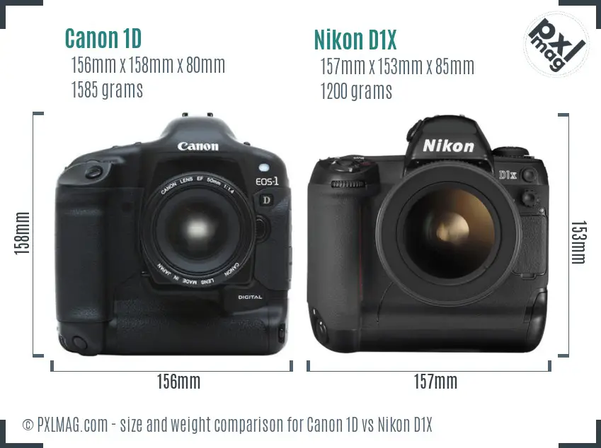 Canon 1D vs Nikon D1X size comparison