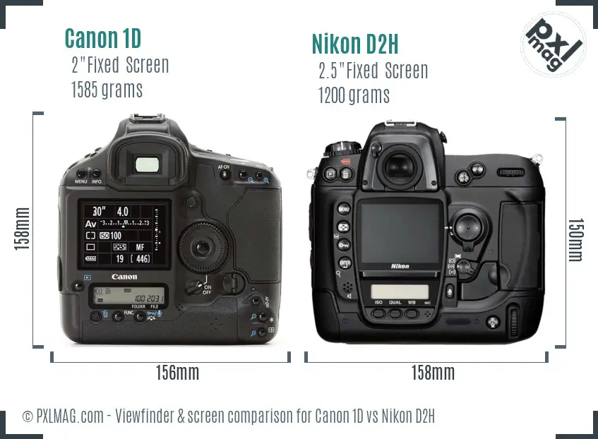 Canon 1D vs Nikon D2H Screen and Viewfinder comparison