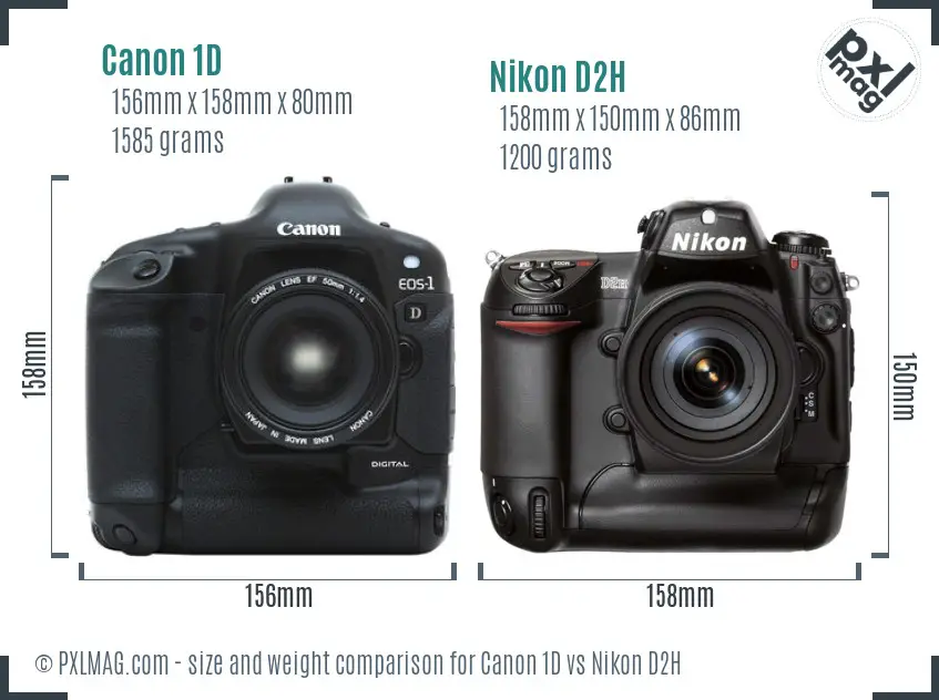 Canon 1D vs Nikon D2H size comparison