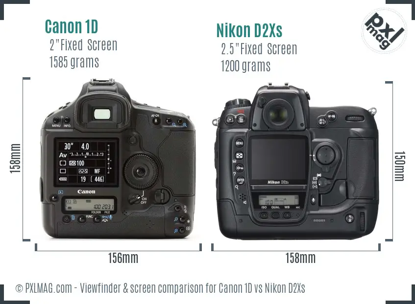 Canon 1D vs Nikon D2Xs Screen and Viewfinder comparison