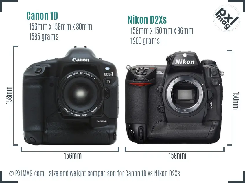 Canon 1D vs Nikon D2Xs size comparison