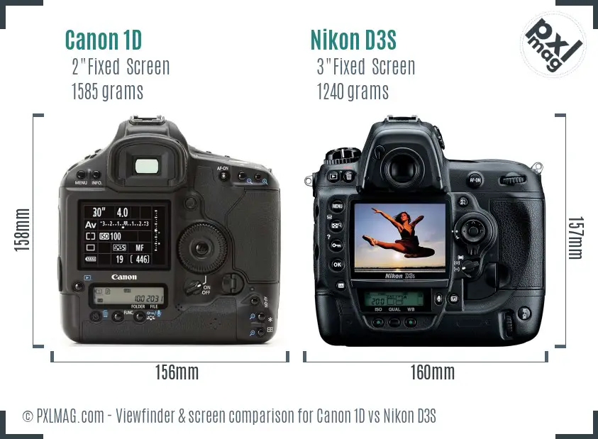 Canon 1D vs Nikon D3S Screen and Viewfinder comparison