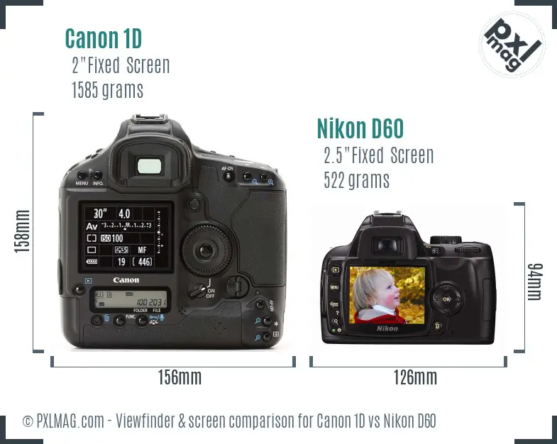 Canon 1D vs Nikon D60 Screen and Viewfinder comparison