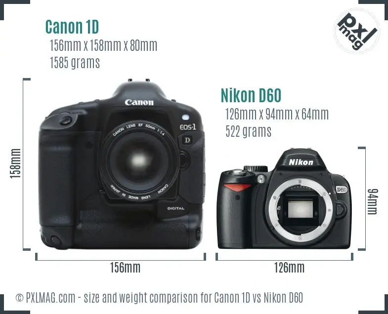 Canon 1D vs Nikon D60 size comparison