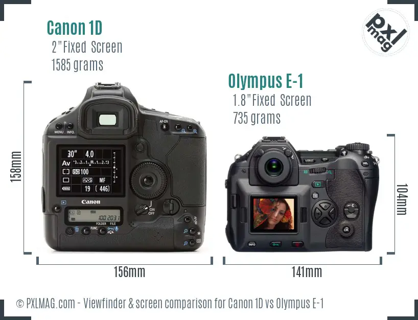Canon 1D vs Olympus E-1 Screen and Viewfinder comparison