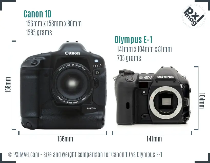Canon 1D vs Olympus E-1 size comparison
