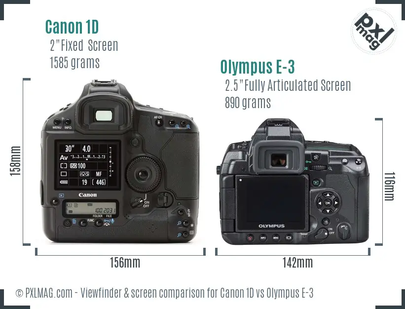 Canon 1D vs Olympus E-3 Screen and Viewfinder comparison