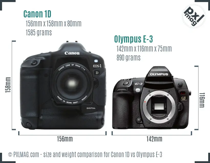 Canon 1D vs Olympus E-3 size comparison