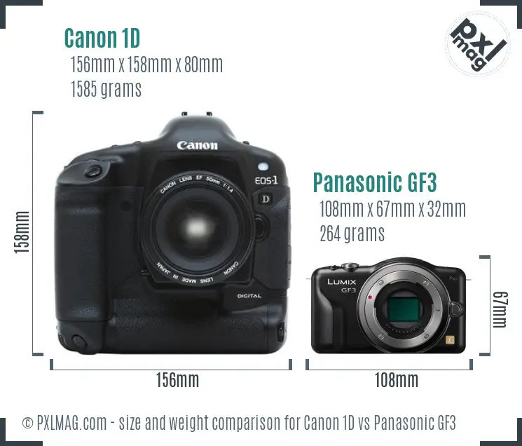 Canon 1D vs Panasonic GF3 size comparison