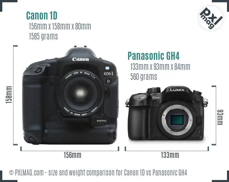 Canon 1D vs Panasonic GH4 size comparison