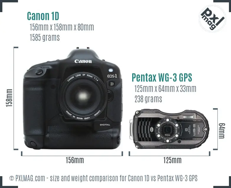 Canon 1D vs Pentax WG-3 GPS size comparison