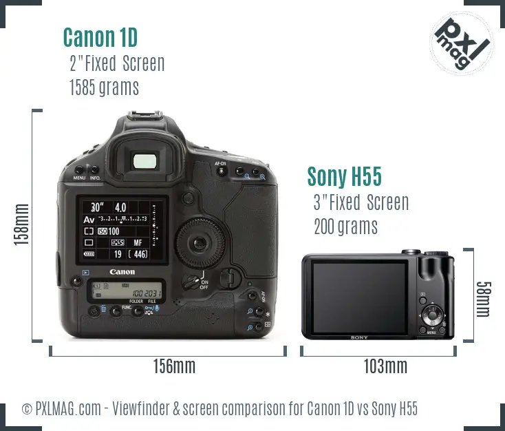 Canon 1D vs Sony H55 Screen and Viewfinder comparison