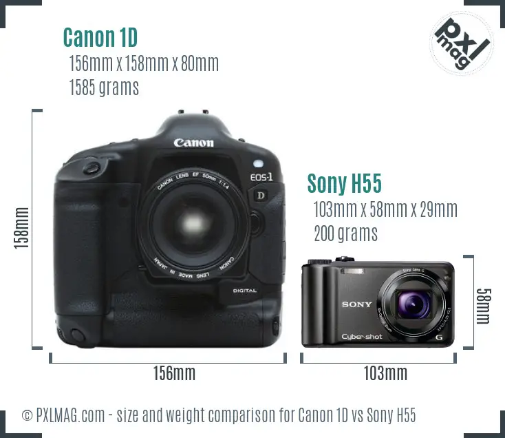 Canon 1D vs Sony H55 size comparison