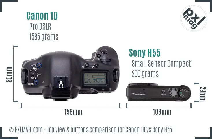 Canon 1D vs Sony H55 top view buttons comparison