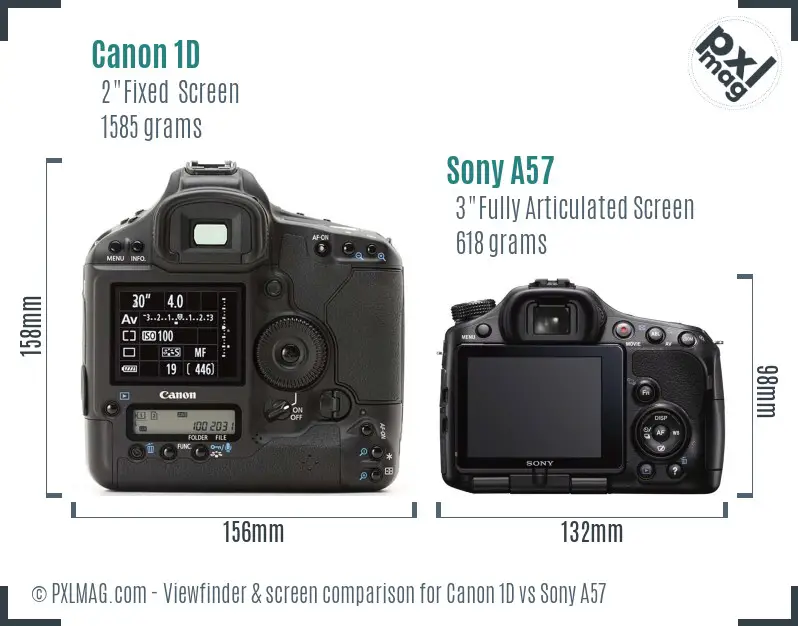 Canon 1D vs Sony A57 Screen and Viewfinder comparison